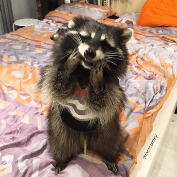 Daily Picdump