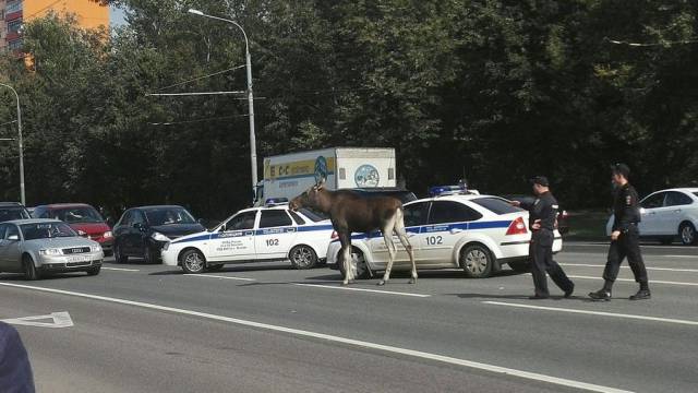 Daily Picdump