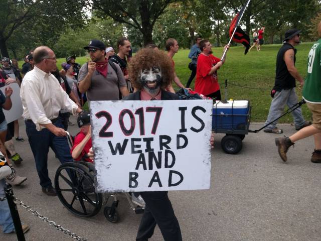 Content Image