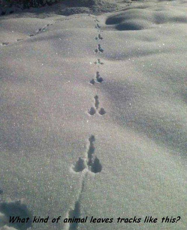 Daily Picdump