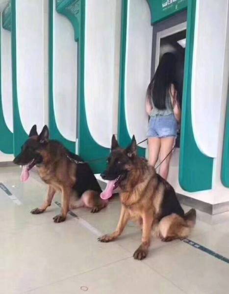 Morning Picdump