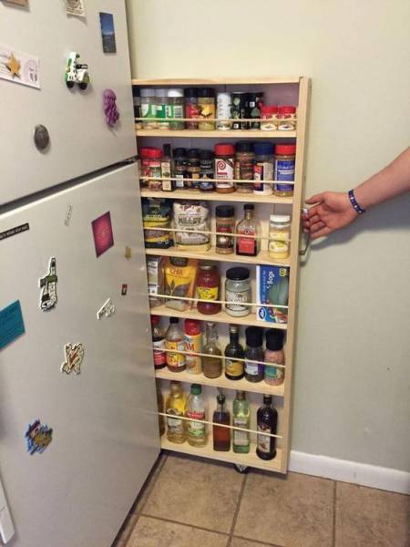 Morning Picdump