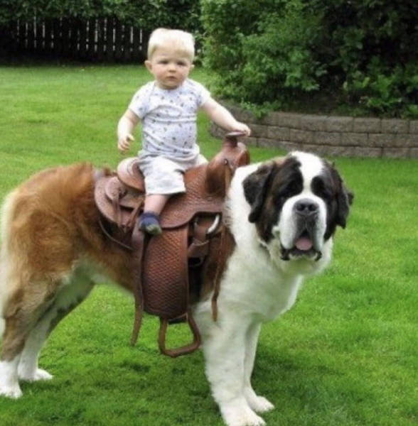 Morning Picdump