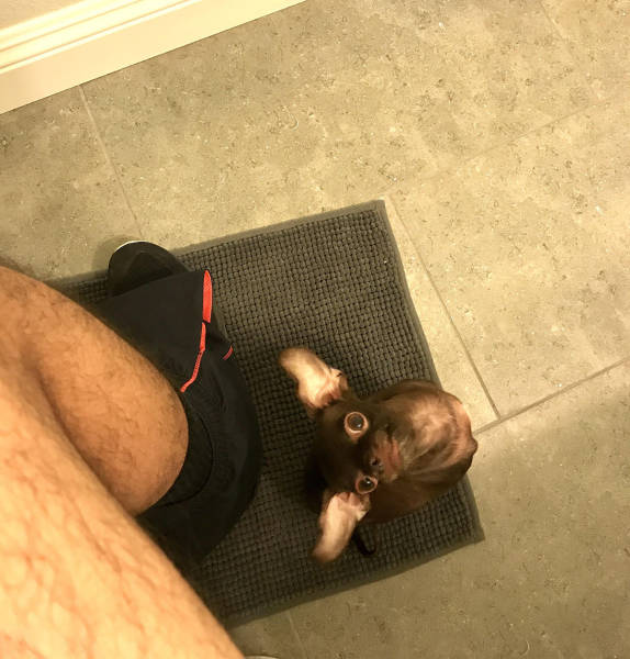 Content Image