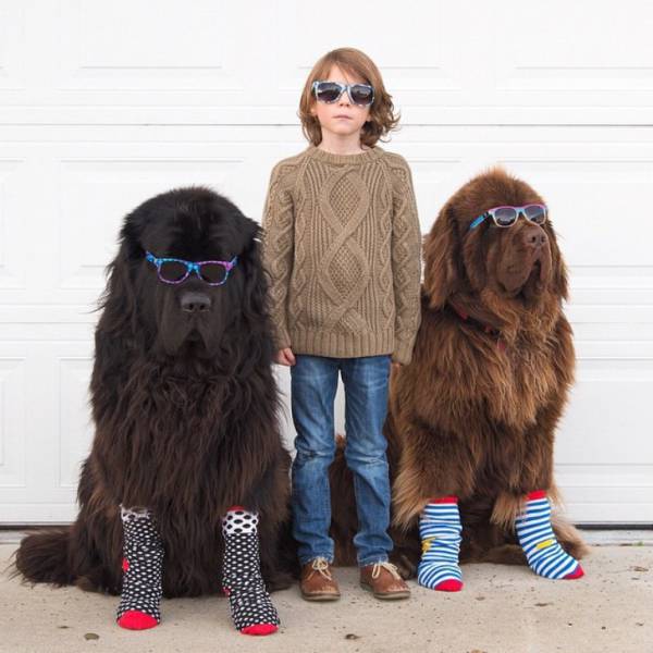 Morning Picdump