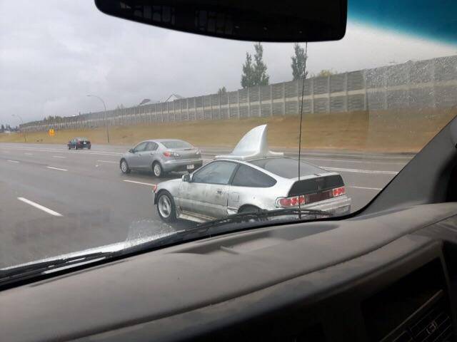Morning Picdump