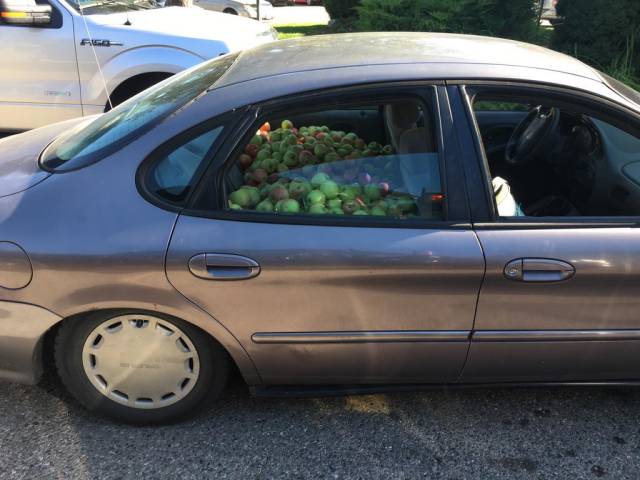 Morning Picdump