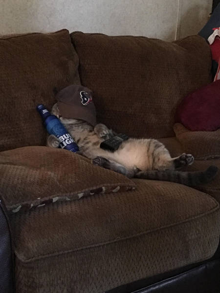 Morning Picdump