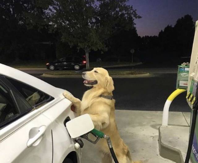 Content Image