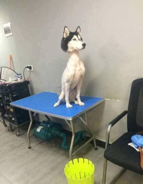 Content Image