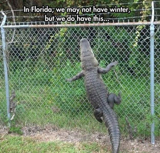 There Is A Meme For Every US State