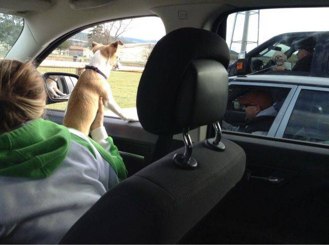 Content Image