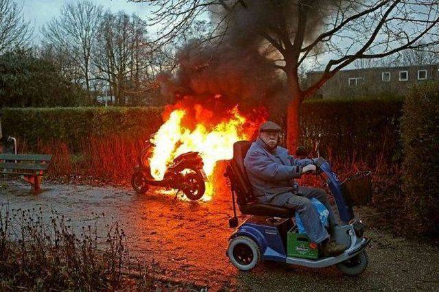 Daily Picdump