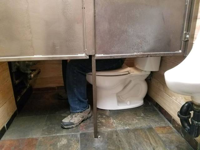 Content Image