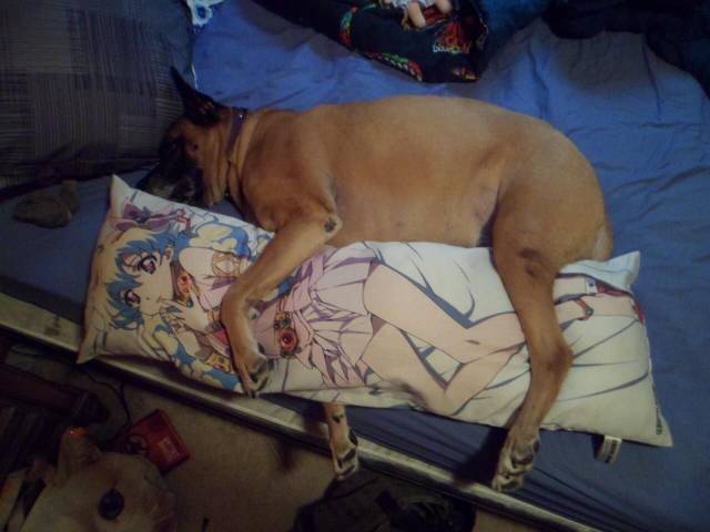 Content Image