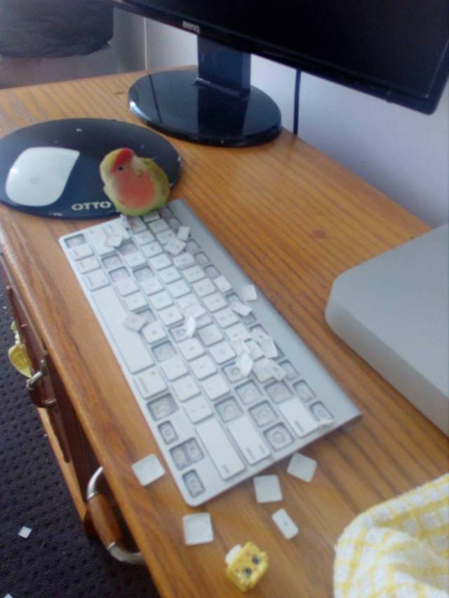 Daily Picdump