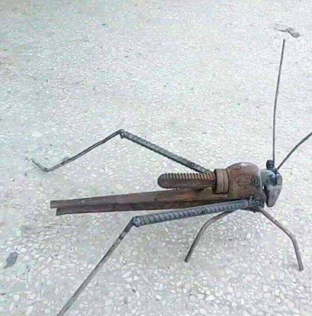 Content Image
