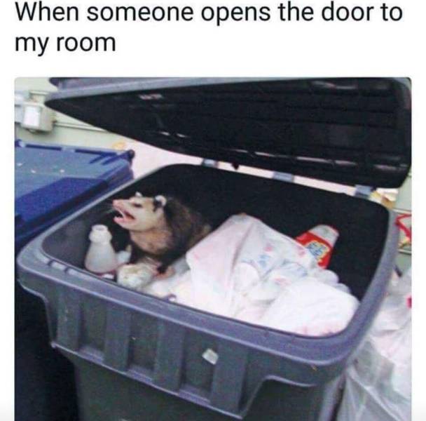 Content Image