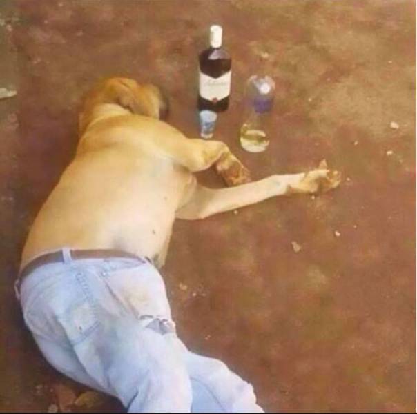 Content Image