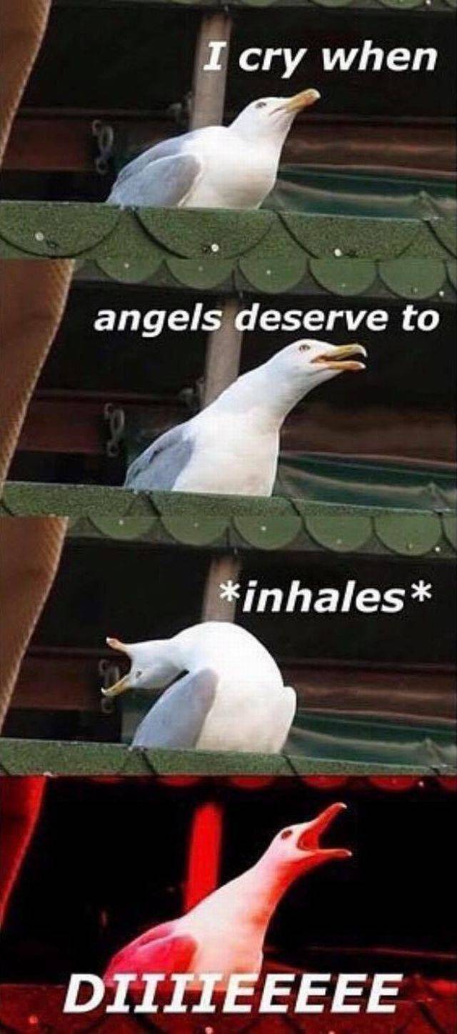 Content Image
