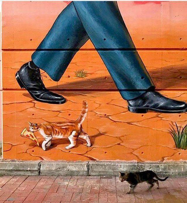 Daily Picdump
