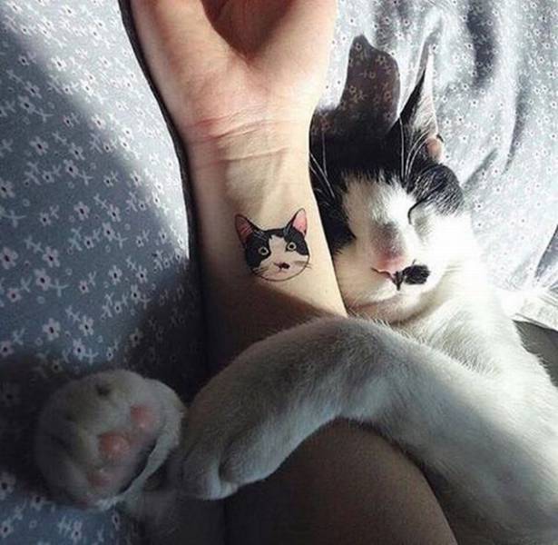 Daily Picdump