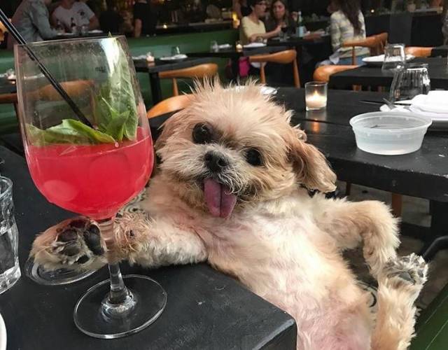 Daily Picdump