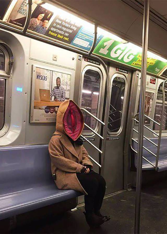 Content Image