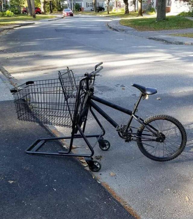 Content Image