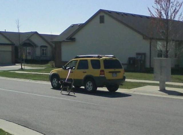 Morning Picdump
