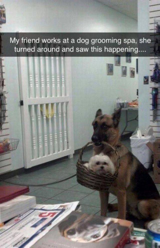 Daily Picdump