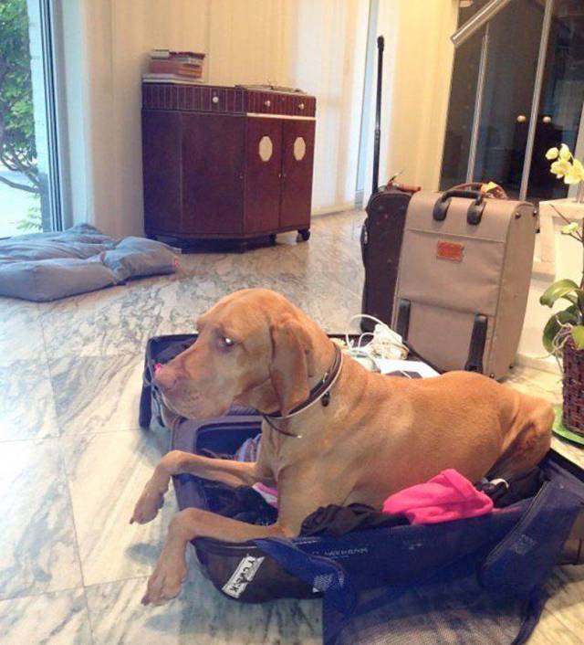 Daily Picdump