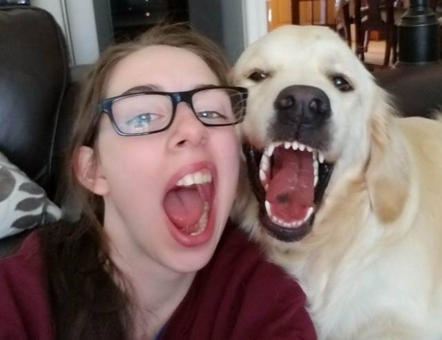 Daily Picdump