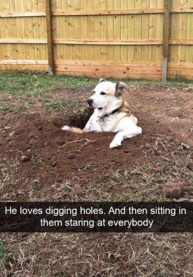 Daily Picdump