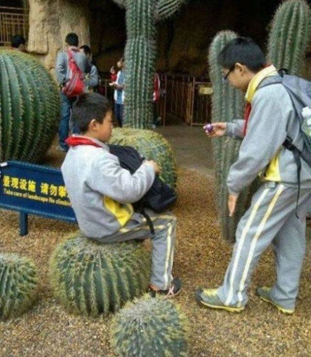 Content Image