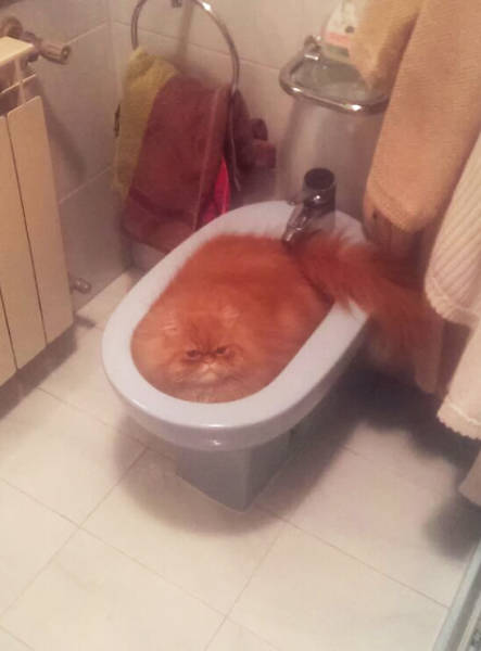 Morning Picdump