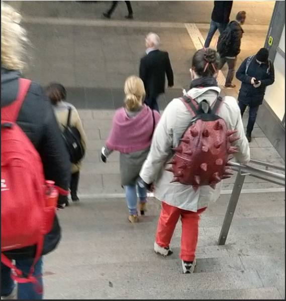 Morning Picdump