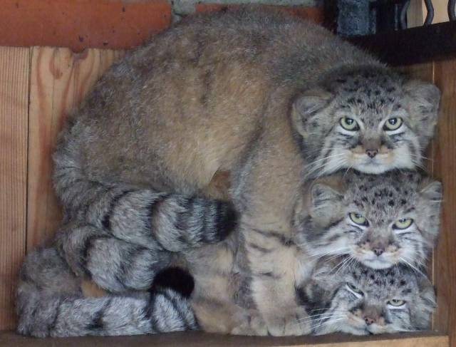 Morning Picdump