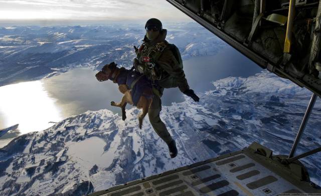 Morning Picdump
