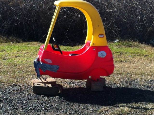 Daily Picdump