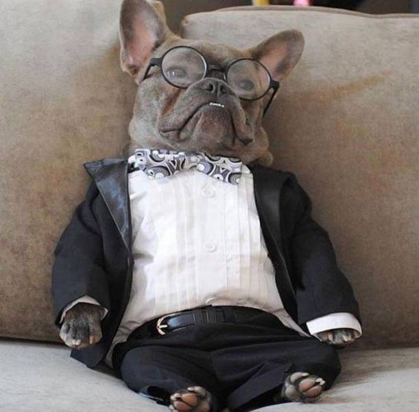 Daily Picdump
