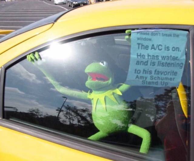 Daily Picdump