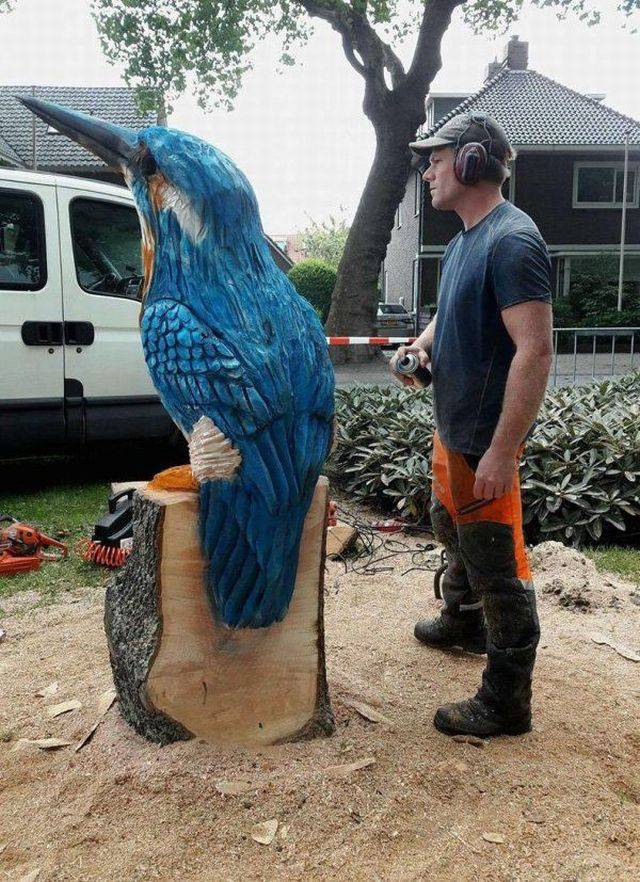 Daily Picdump