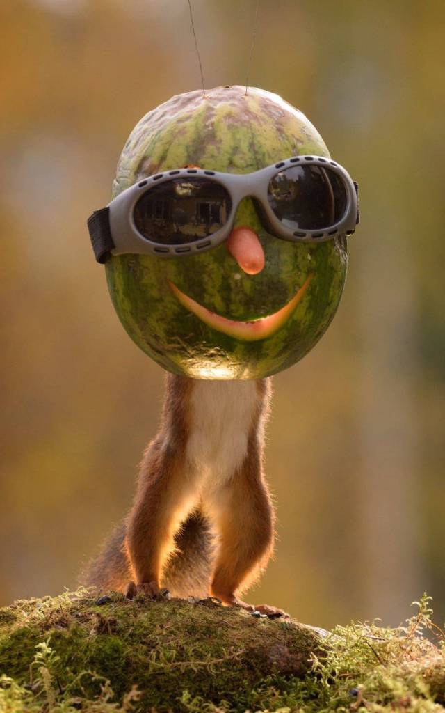 Content Image