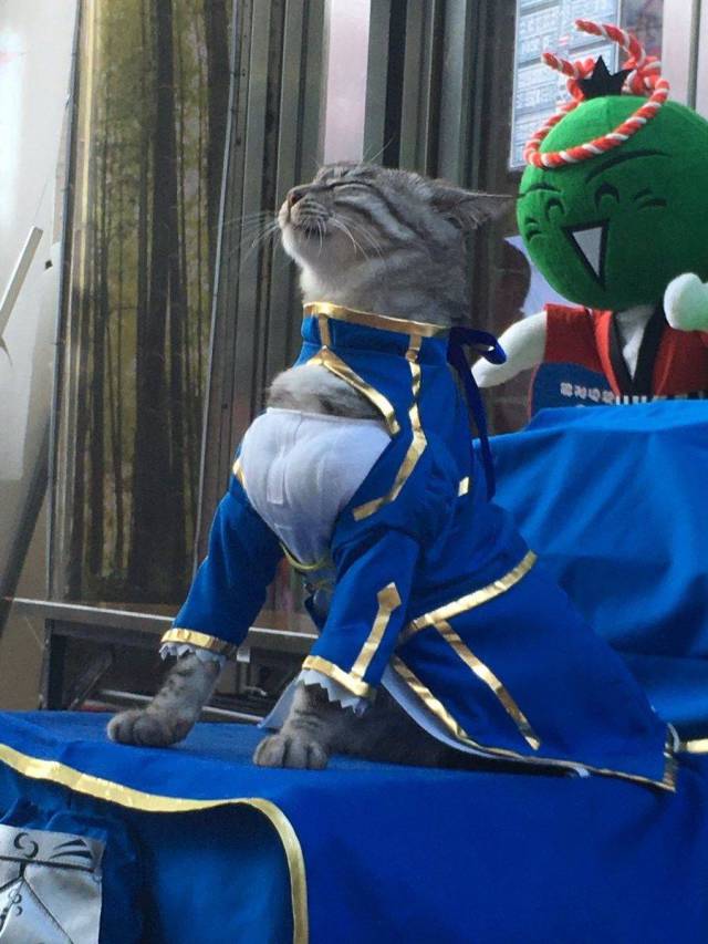 Content Image
