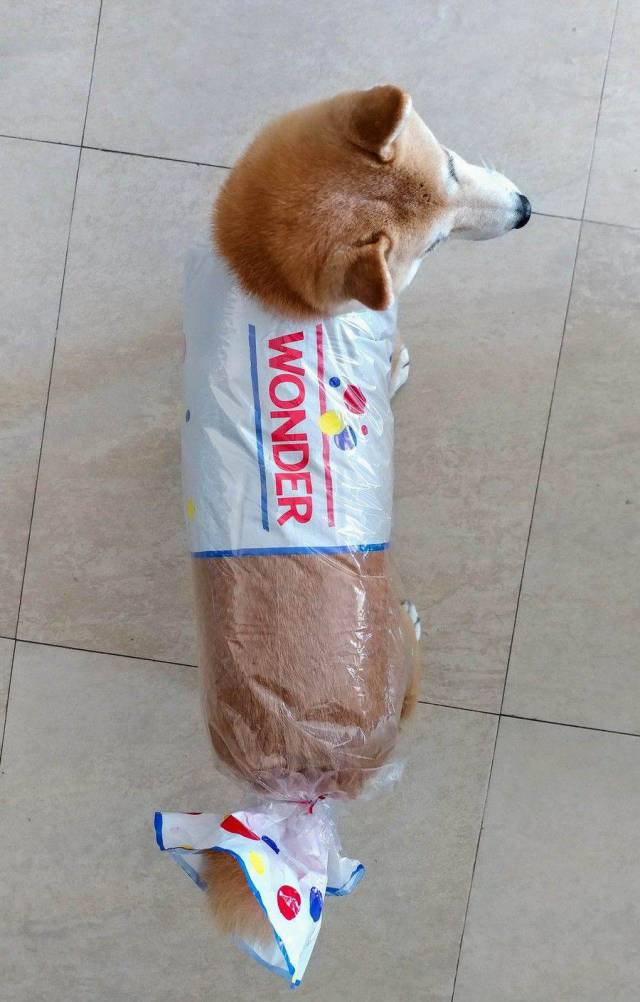 Content Image