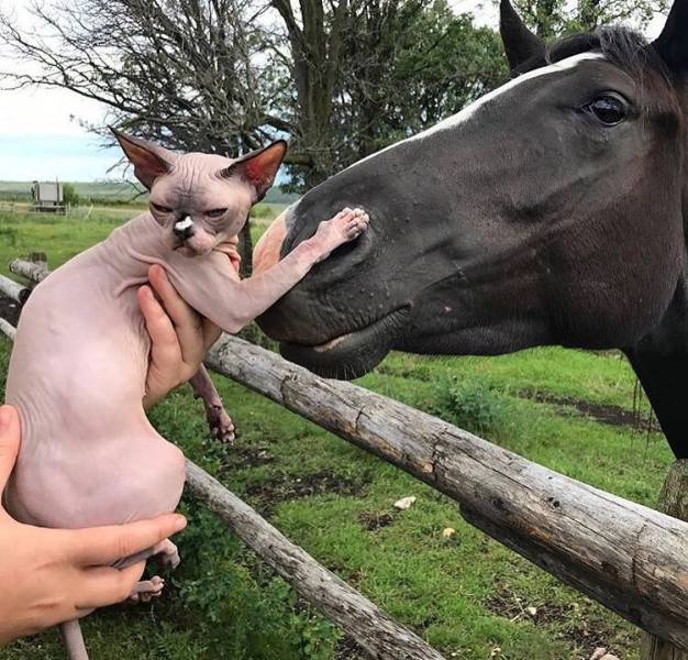 Daily Picdump