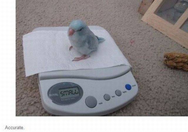 Daily Picdump
