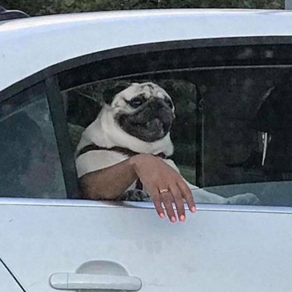 Daily Picdump