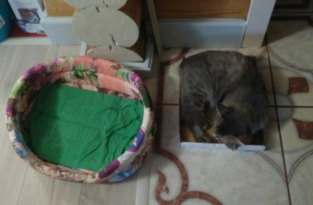 Daily Picdump